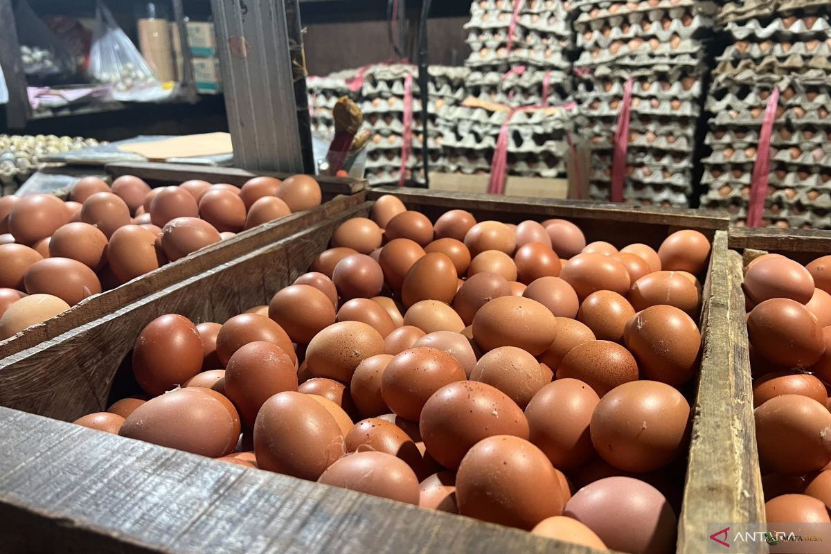 Harga Telur Naik ke Rp25.000/kg, Bawang Merah Turun, Cabai Rawit Masih Mahal