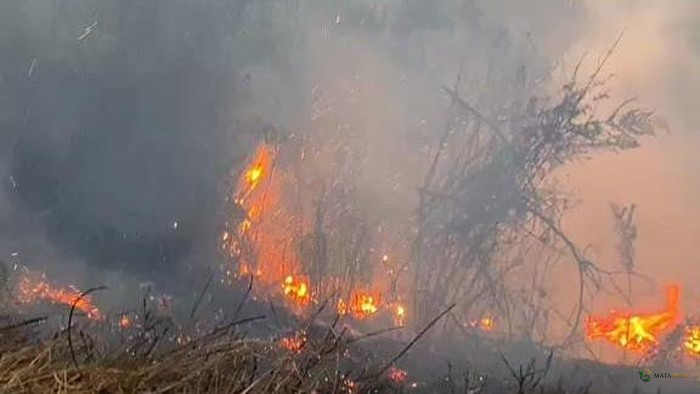 BB TNBTS Tutup Sementara Sebagian Kawasan Wisata Gunung Bromo Akibat Kebakaran Hutan