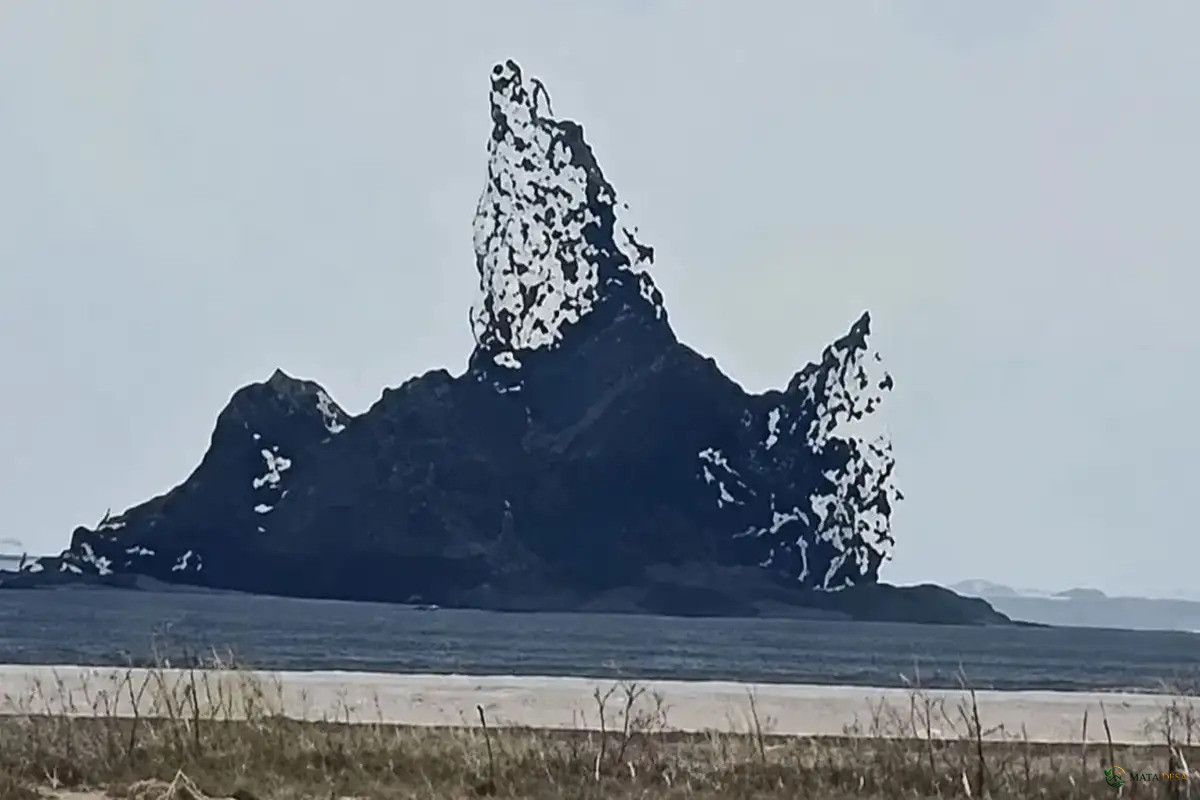 Semburan Lumpur Kembali Muncul di Wisata Geologi Oro-oro Kesongo Blora, Warga Diminta Waspada Gas Beracun