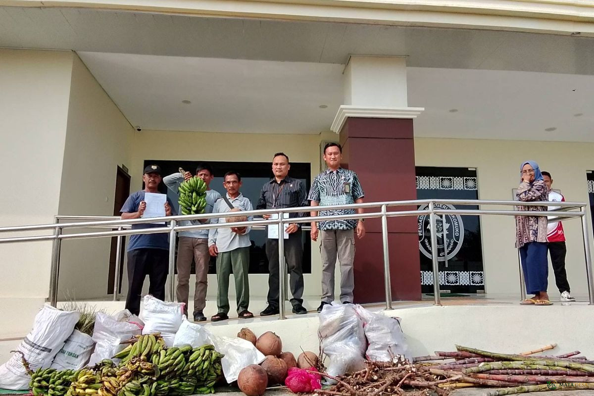 Tak Mampu Bayar Denda Rp 3 Miliar, Tiga Petani Mukomuko Bawa Pisang, Kelapa, dan Ubi ke Pengadilan