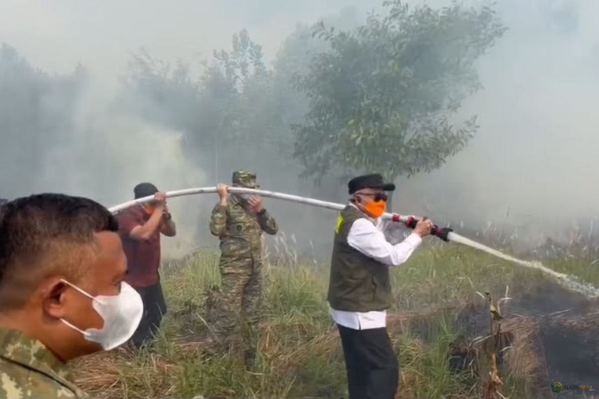 KSAL Tinjau Karhutla Guntung Damar Banjarbaru: Tak Separah di Media Sosial