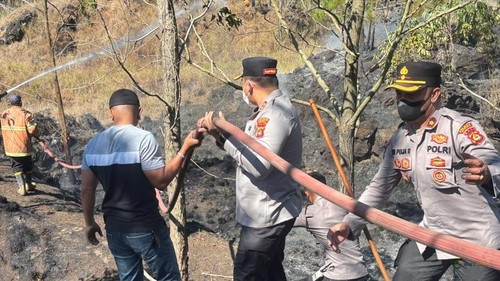 Kebakaran Kembali Landa Gunung Batur, Dua Hektare Kawasan Hutan Hangus dalam Tiga Jam