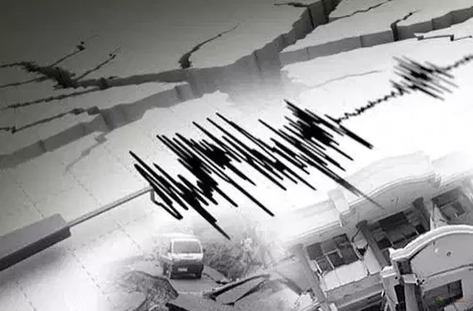 Gempa M4,4 Guncang Pacitan Dini Hari, Getaran Terasa hingga Malang dan Lumajang