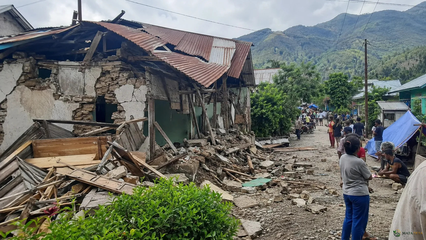 Hampir 13 Ribu Gempa Susulan Guncang Flores, BMKG Catat 36 Gempa Berkekuatan di Atas M5