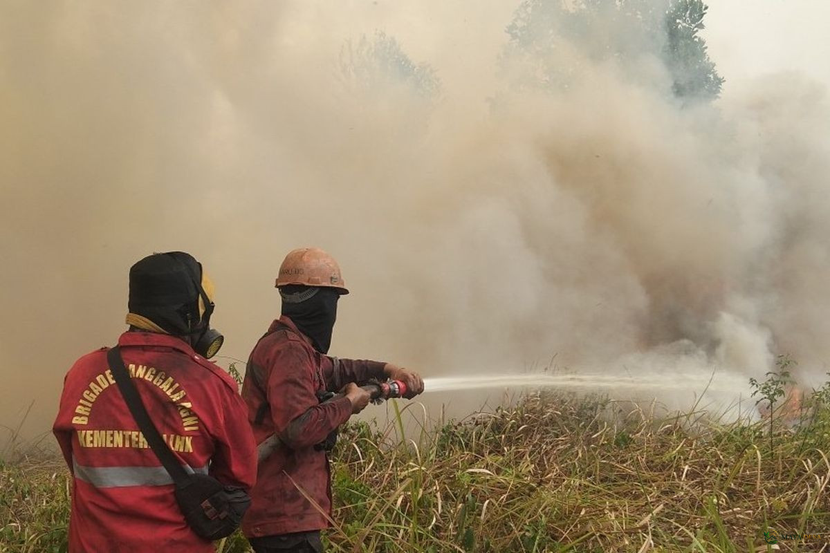 Kemlu Pastikan Belum Ada Nota Protes Negara Tetangga soal Karhutla Indonesia