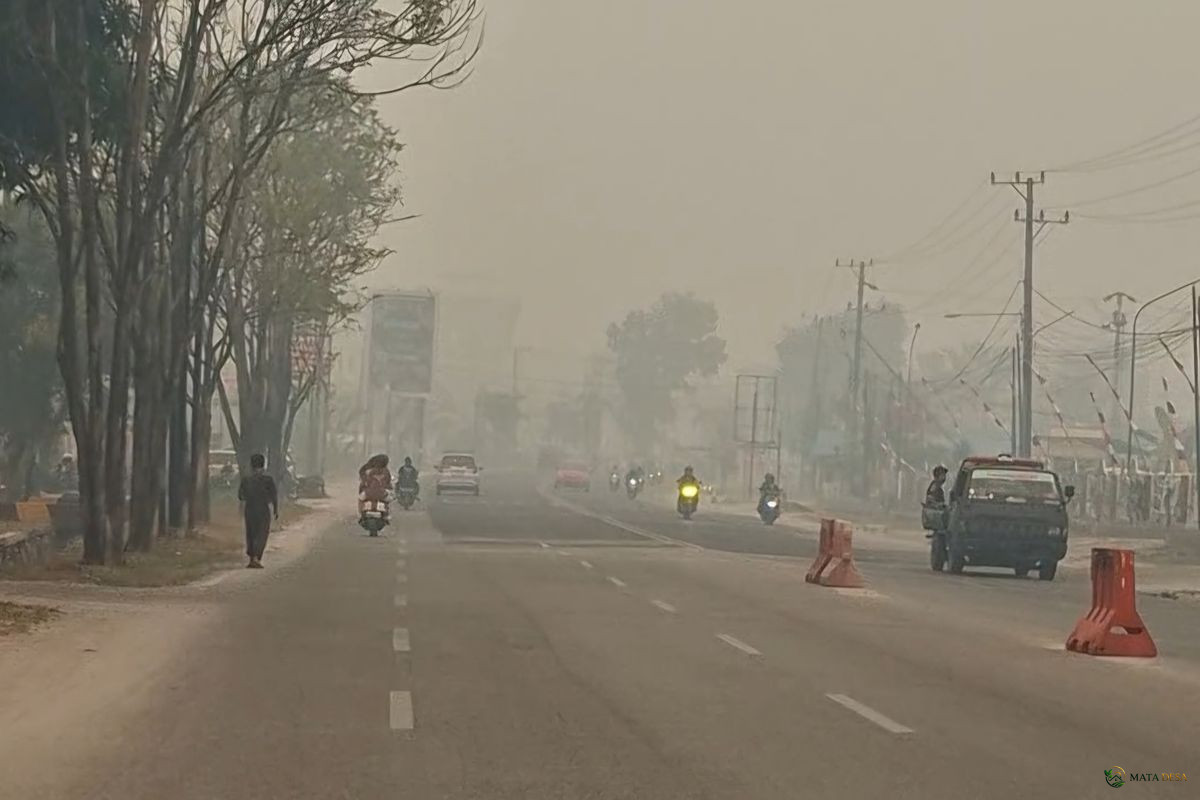 Kabut Asap Karhutla Makin Pekat Kepung Palangka Raya, Warga Mulai Keluhkan Dampaknya
