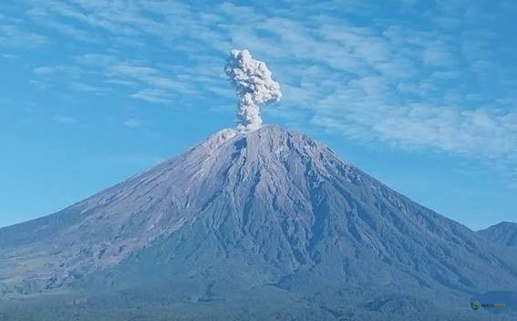 Gunung Semeru Erupsi Empat Kali, Letusan Pagi Ini Capai 1,3 Kilometer